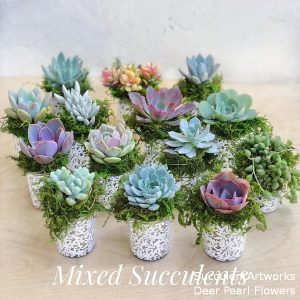 Succulents Wedding Favors