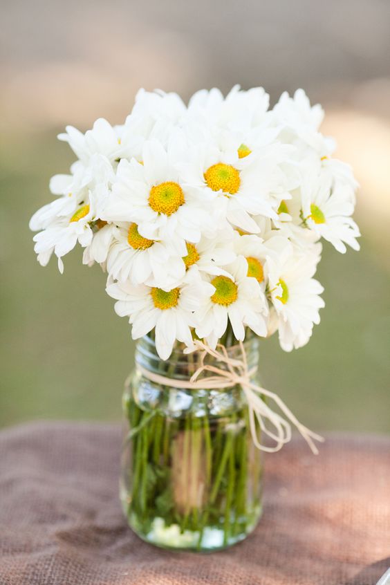 bundle of daisies withmason jar and a tiny piece of ribbon wedding centerpiece