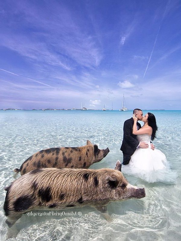 Water-Beach, Ocean and Lake wedding photo ideas