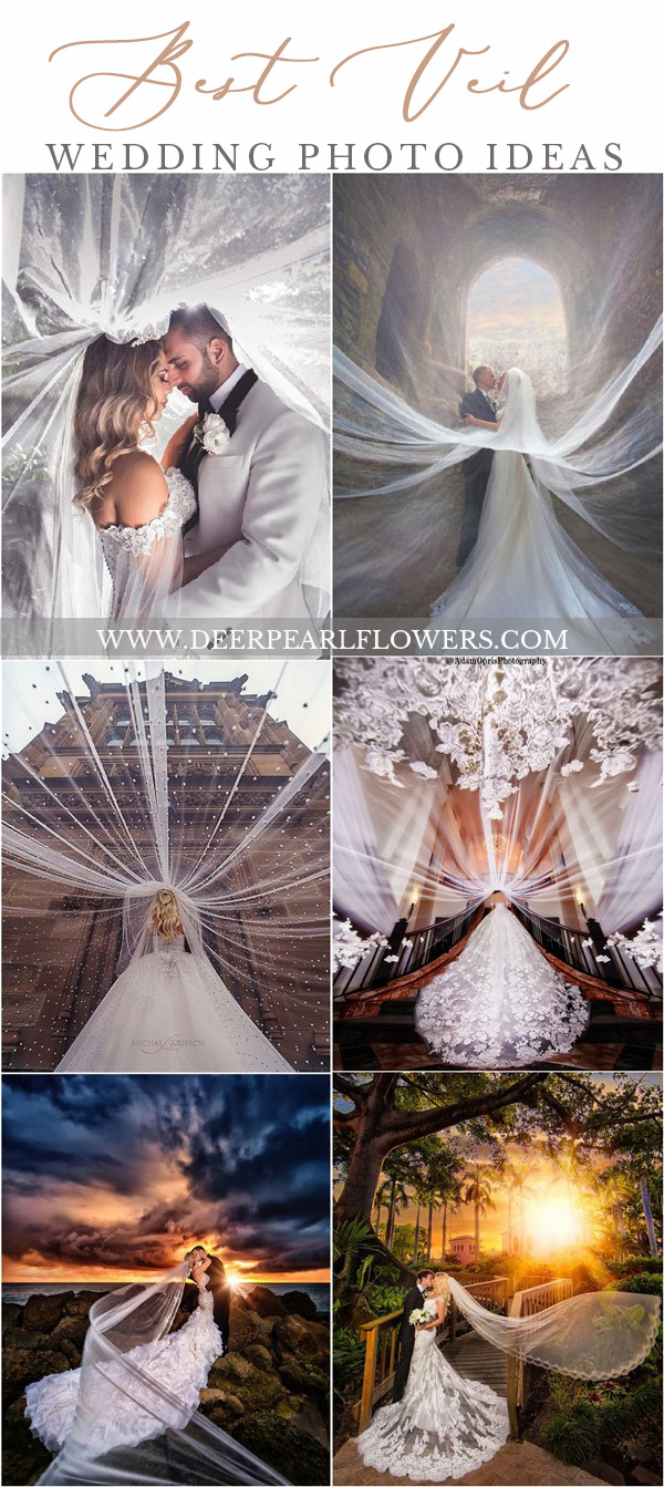 Romantic Wedding Photo Ideas with Your Wedding Veil