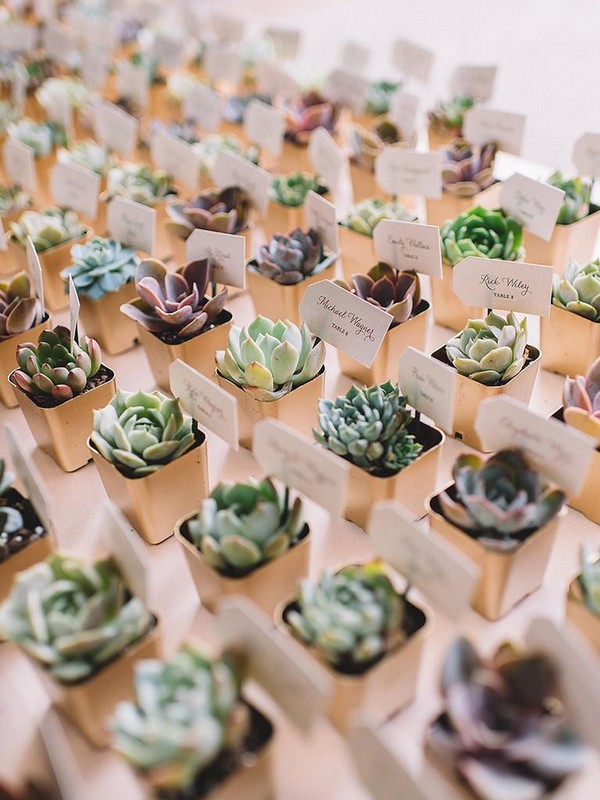 rustic succulent wedding favors